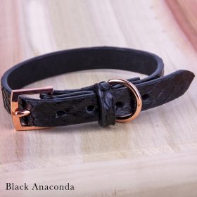 Black Anaconda