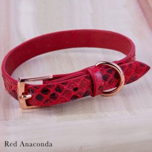 Cat Collars